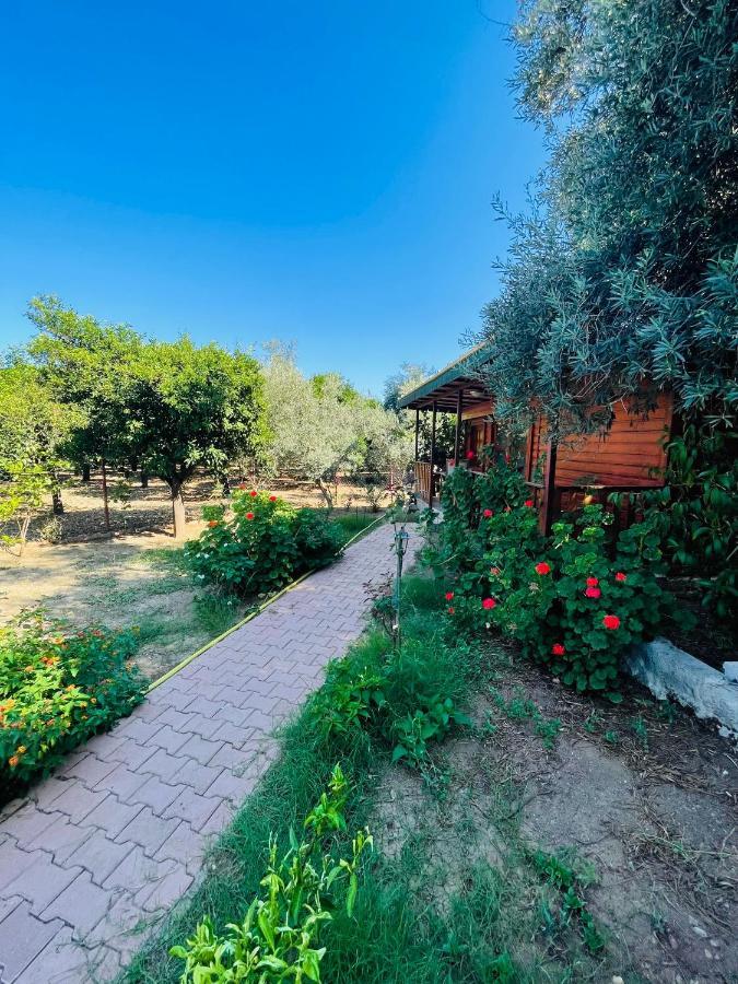 Felicity Hotel & Bungalows Kemer Esterno foto