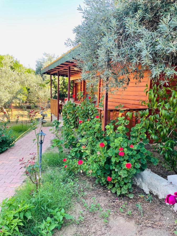 Felicity Hotel & Bungalows Kemer Esterno foto