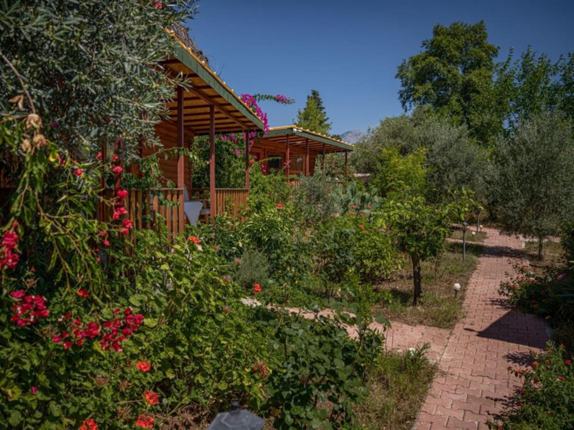 Felicity Hotel & Bungalows Kemer Esterno foto
